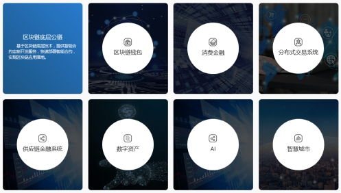 和數(shù)軟件 為企業(yè)鑄就區(qū)塊鏈技術(shù)定制新引擎